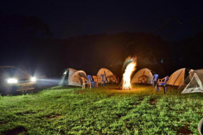 Starlight Camp & Tents